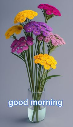 meenakshi Prajapat (@meenakshi9799) on Twitter photo 