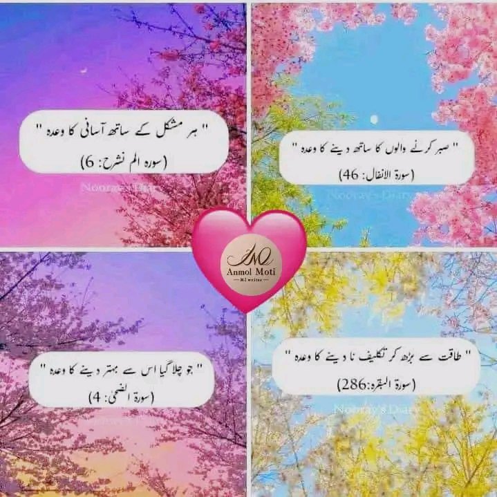 Muhammad Waqas Ameer tweet media