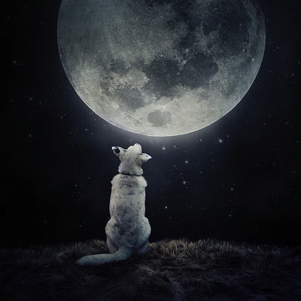 Muy Buenas Noches 🌙 

Que su día domingo haya sido excelente y de descanso

Tengan una linda noche y un mejor descanso 🫶