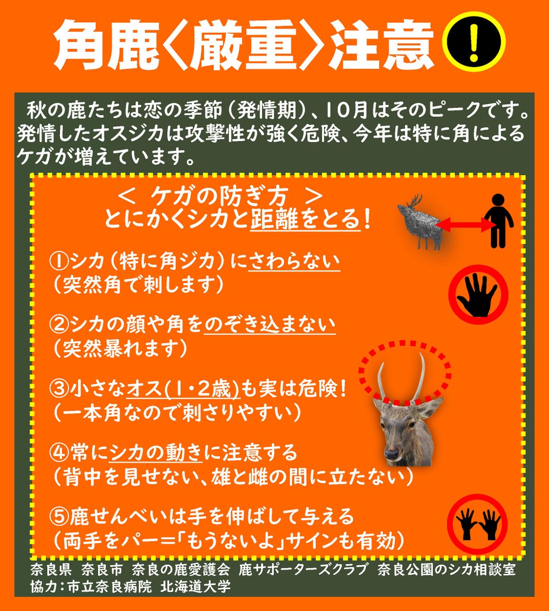 角鹿＜厳重＞注意継続中！】 角鹿（オス鹿）には、より一層の注意をし