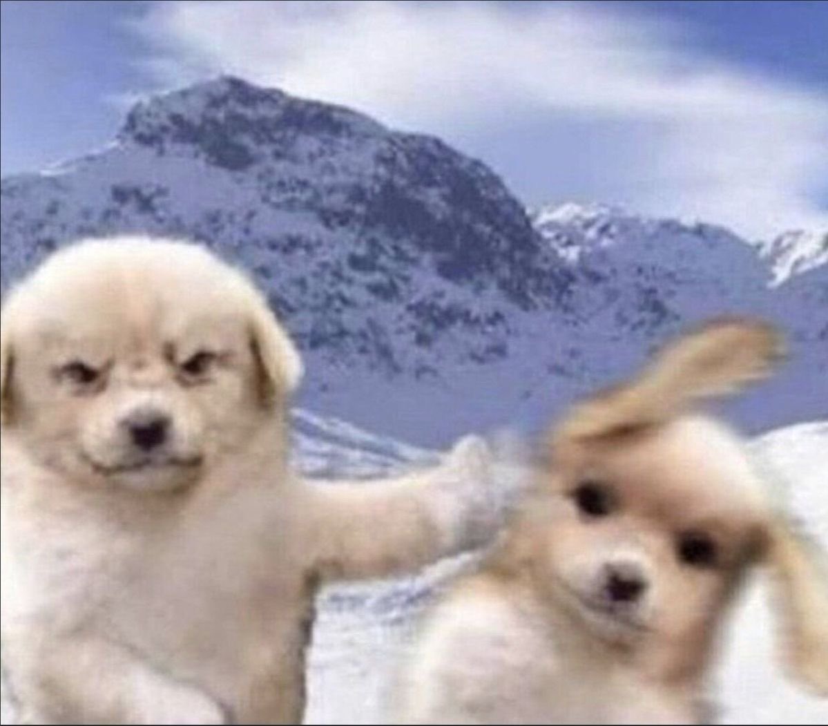 Marti_dice's tweet image. Yo diciendo que ya jubilen Exatlón // yo hoy viéndolo por Mati y Rafa polinesio #ExatlónMéxico