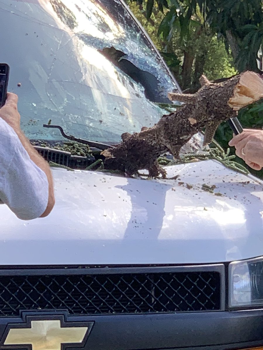 cathy72s's tweet photo. @RideOrDieTB Husbands can wasn’t so lucky, this is a after they pulled the 2 branches from the windshield https://t.co/YpvzdqQqm2