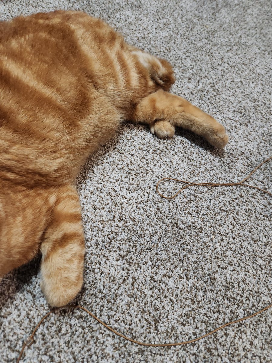 lucahjin's tweet photo. Senor pretzel legs https://t.co/LOTE1Nwg5N