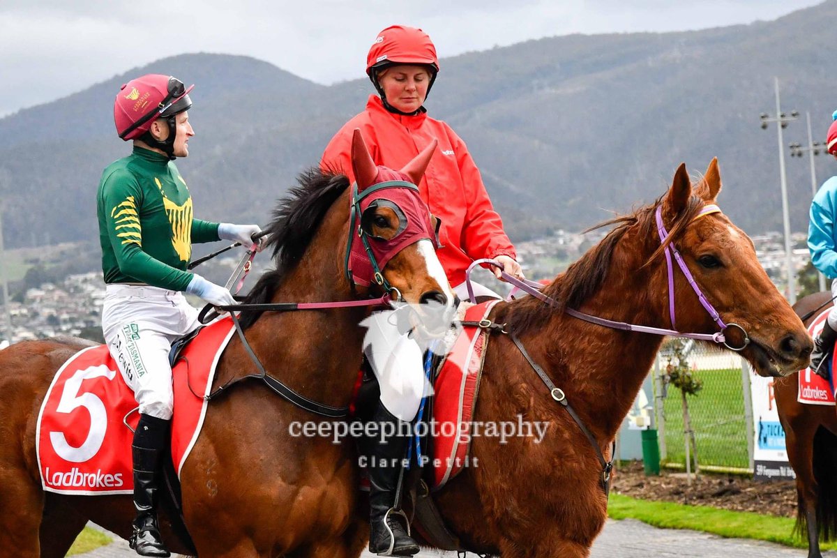Good luck <a href="/TasBloodstock/">Tasmanian Bloodstock</a> with Fear The Sting at Bairnsdale today #TF