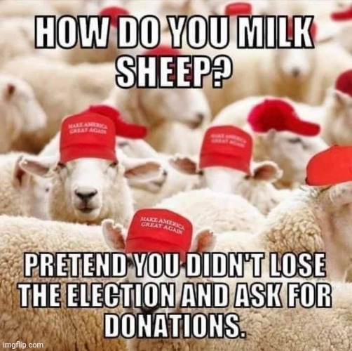 If you're still waiting for a bus at #CoachellaRally, don't worry, Trump has a concept of a bus that will pick you up in 2 weeks that Mexico is going to pay for.