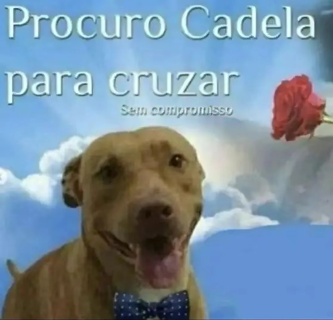 Já pode revelar a surpresa que eu estive organizando para vocês?