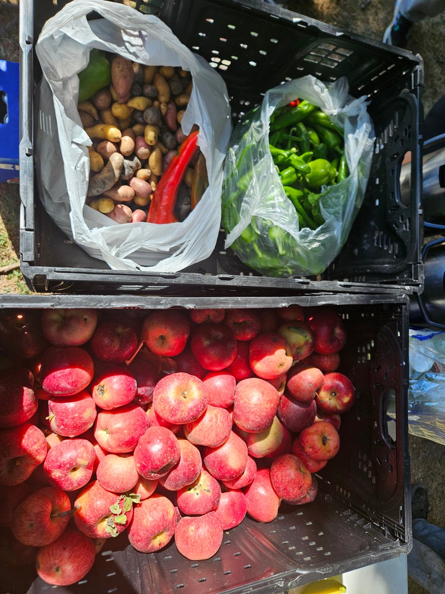 OmahaAutonomous's tweet photo. It's Fall, which means the start of chili weather! Free Farm Syndicate has been providing lots of great produce and we even had a community volunteer crochet us some soap bags that can be used as washcloths!  Not  pictured in this September photo dump: the requests we fulfill https://t.co/HRxqErl0mf