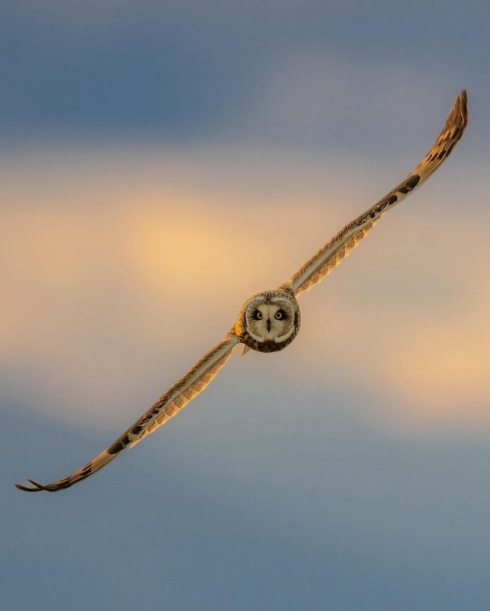 Perfect shot!

📸: Steve Woods Photography