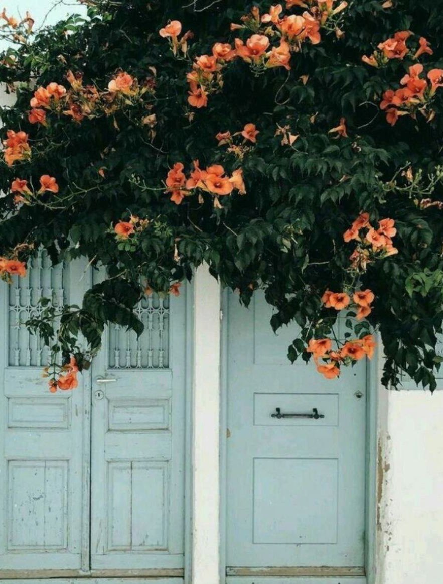 .
.
.
.

#صباح__الأماني_الجميلة

لكل قلب أشرق مع شروق يوم جديد...
لكل قلب تفتحت له أزهار الوجود ...
لكل قلب يتأمل حلمه وينتظر تحقيقه...
لكل قلب ينبض بأبتسامته للحياة ….      🧡