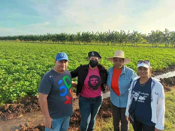 CMKXDigital's tweet photo. Las máximas autoridades políticas y gubernamentales de la #ProvinciaGranma acompañaron a jóvenes de la #FEUCuba en trabajo productivo previo al Acto nacional de ingreso a la organización, que tendrá lugar este lunes en el Parque Museo Ñico López
 #UJCGranma 
#FeuDeGranma
#Cuba https://t.co/VclLPreqSx