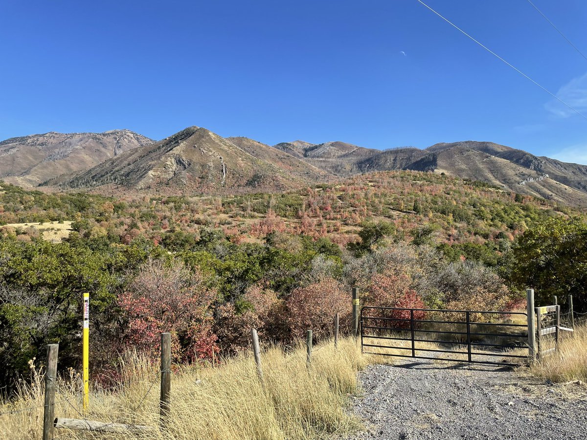 MichaelMirabile's tweet photo. Nebo Loop scenic drive. https://t.co/DUanOL4aAM