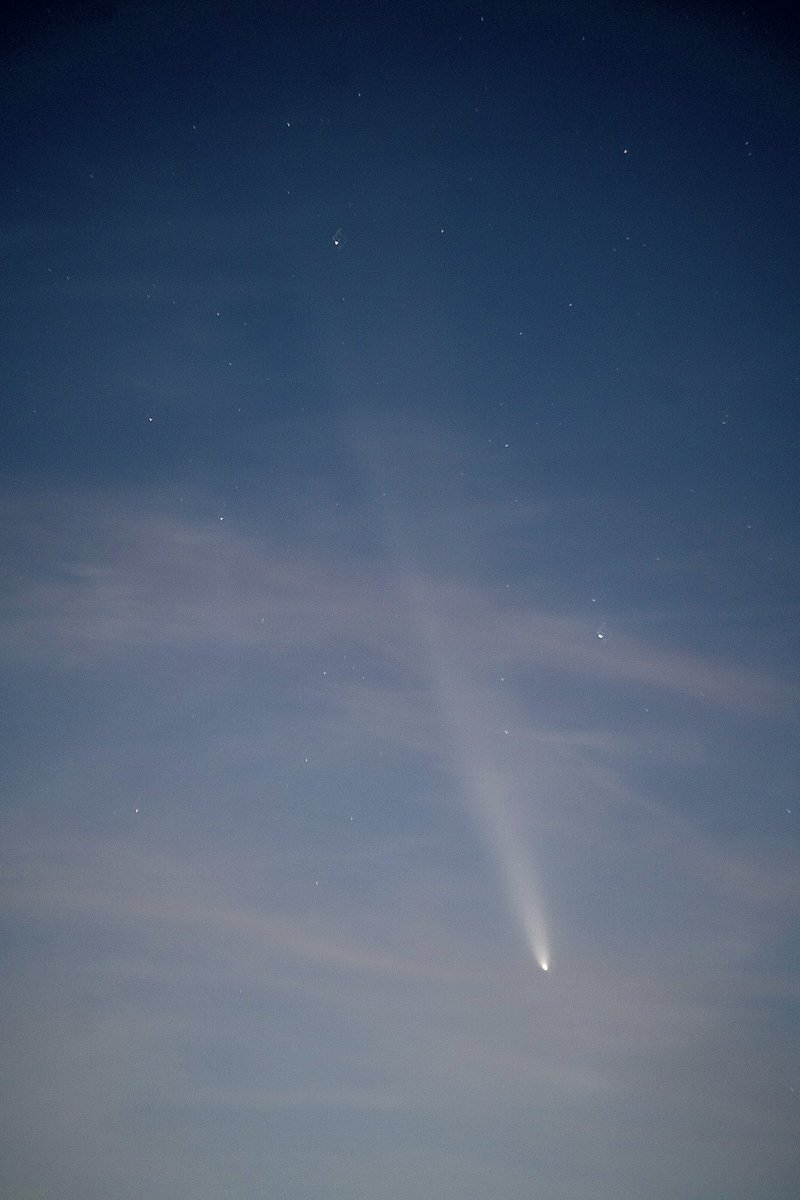 Michaela tweet media