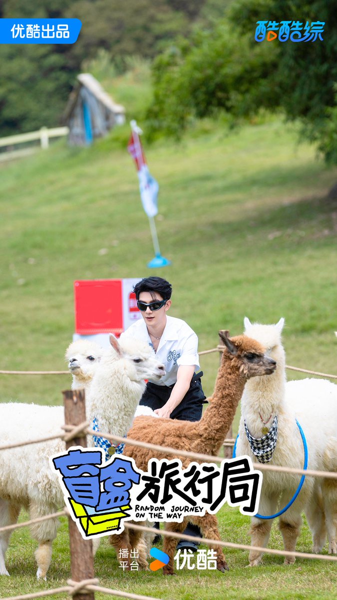 241014 XiaZhiguang x 《Random Journey On The Way》 EP06 new still 📸

Guang and 🦙 are so cute ✨️

#XiaZhiguang #夏之光
