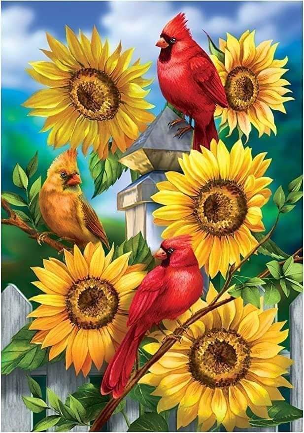 Sunflower🌻 (@Sunflower0tw) / Posts / X