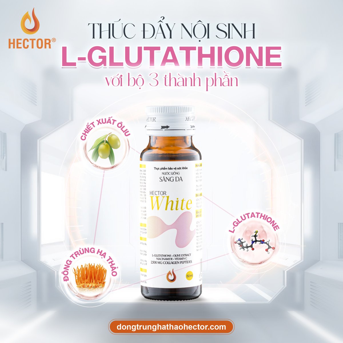 BebaHector's tweet photo. THÚC ĐẨY NỘI SINH L-GLUTATHIONE TỪ THÀNH PHẦN TỰ NHIÊN
Được chiết xuất từ quá trình lên men của nấm men, L-Glutathione hỗ trợ ức chế tổng hợp sắc tố tối màu, tăng sinh sắc tố sáng màu, đồng thời kích thích phản ứng nội sinh L-Glutathione của cơ thể https://t.co/6sU1UC1uYB