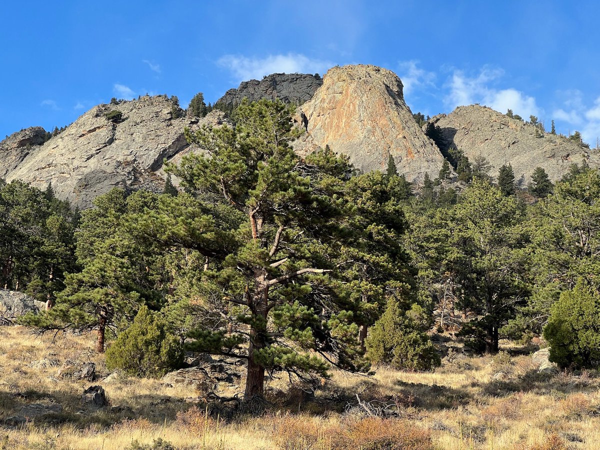 Greg Mendell 🙂🖖✨🔭📖 tweet media