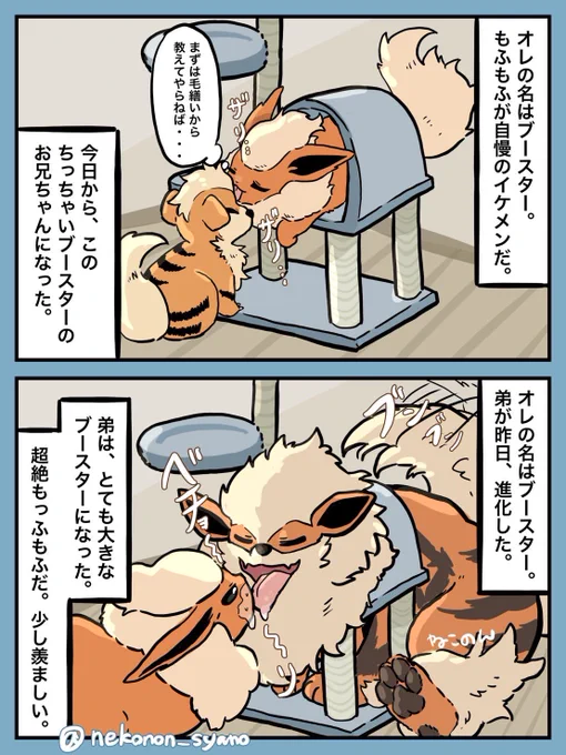 リクエストから
ブースター/ウインディ 