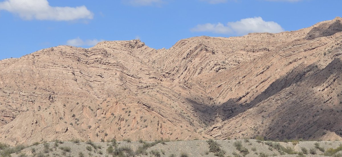 José González-Alfaro tweet media