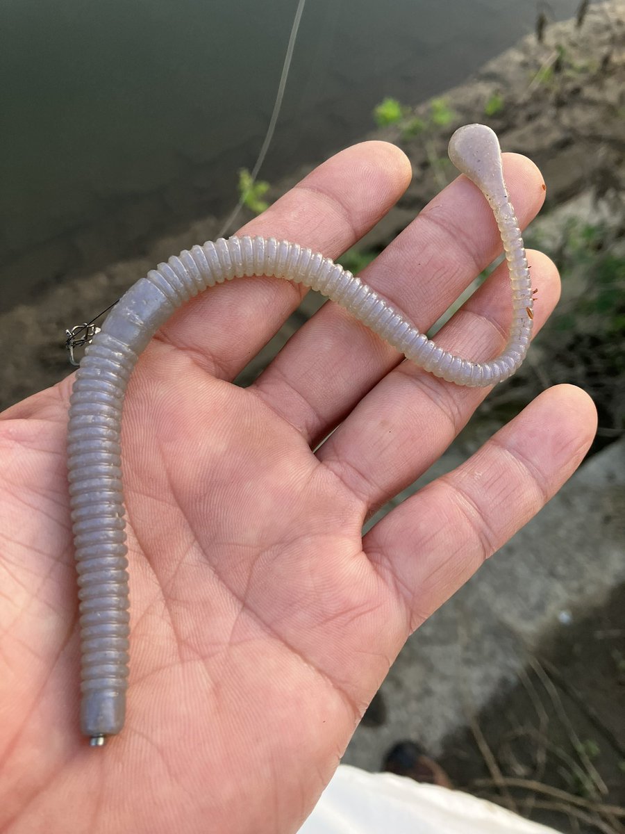 山口純也 tweet media