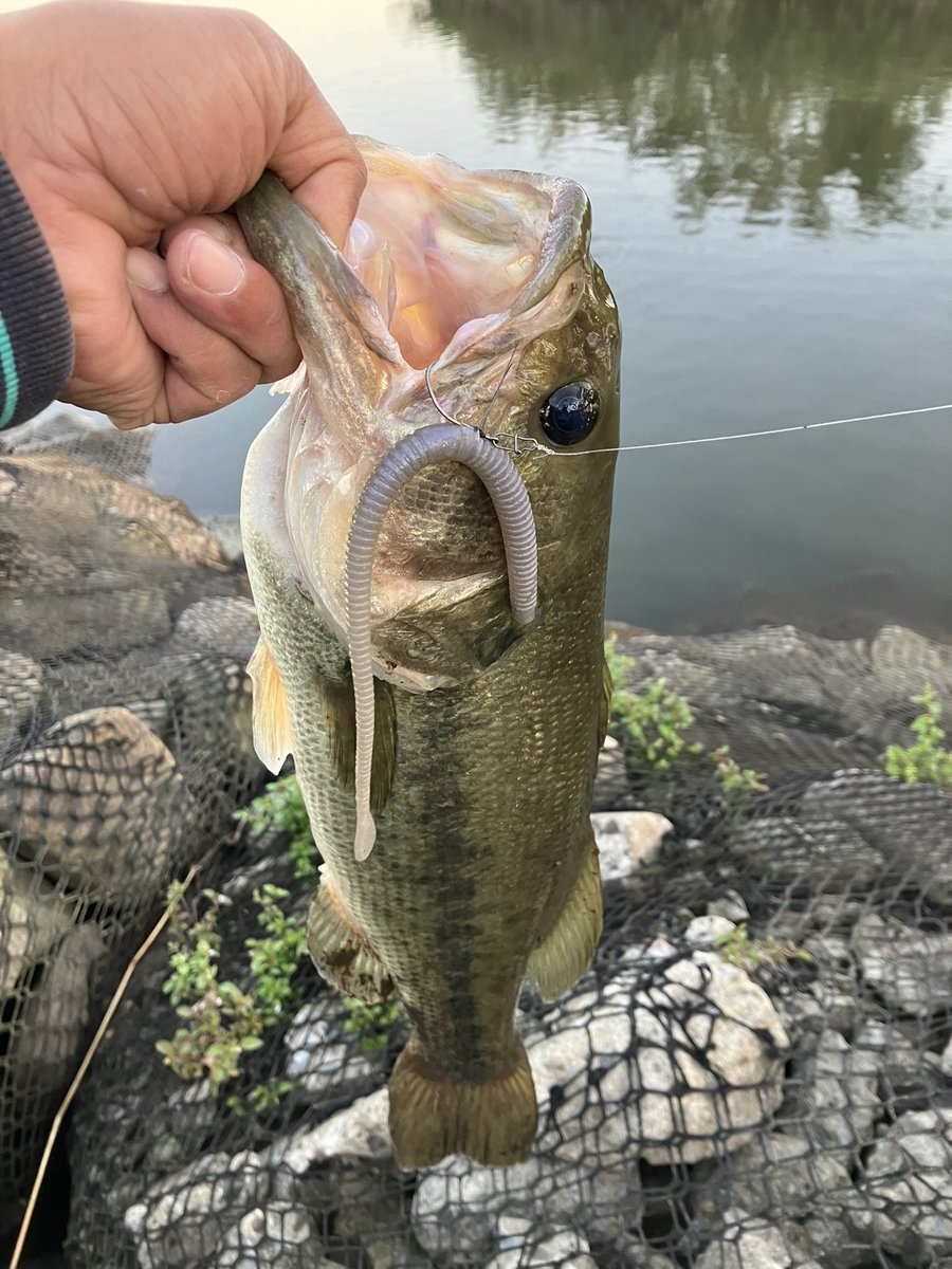 山口純也 tweet media