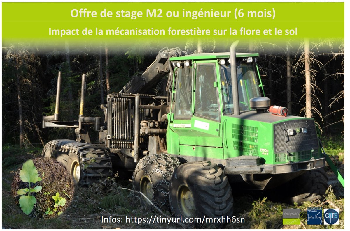 Spicher Fabien (@f_spicher) on Twitter photo Stage Bac+5 Ecologie forestière à relayer !
L’<a href="/UMR_EDYSAN/">EDYSAN</a> propose une offre de stage sur l’impact de la mécanisation forestière sur la flore du sous-bois. Passionnés de botanique🌱, pédologie, technologie lidar et écologie forestière, postulez !
tinyurl.com/mrxhh6sn Stage Bac+5 Ecologie forestière à relayer !
L’<a href="/UMR_EDYSAN/">EDYSAN</a> propose une offre de stage sur l’impact de la mécanisation forestière sur la flore du sous-bois. Passionnés de botanique🌱, pédologie, technologie lidar et écologie forestière, postulez !
tinyurl.com/mrxhh6sn