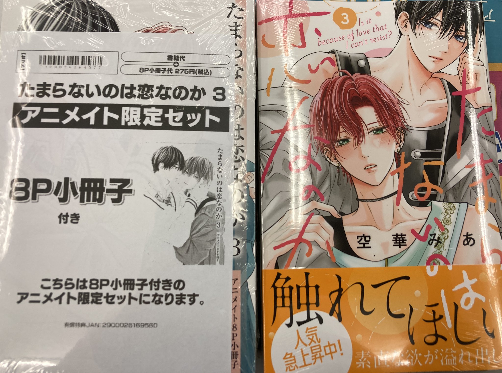 たまらないのは恋なのか ①②③④ アニメイト 小冊子付 コミック】たまらないのは恋なのか(4) アニメイトセット【描き
