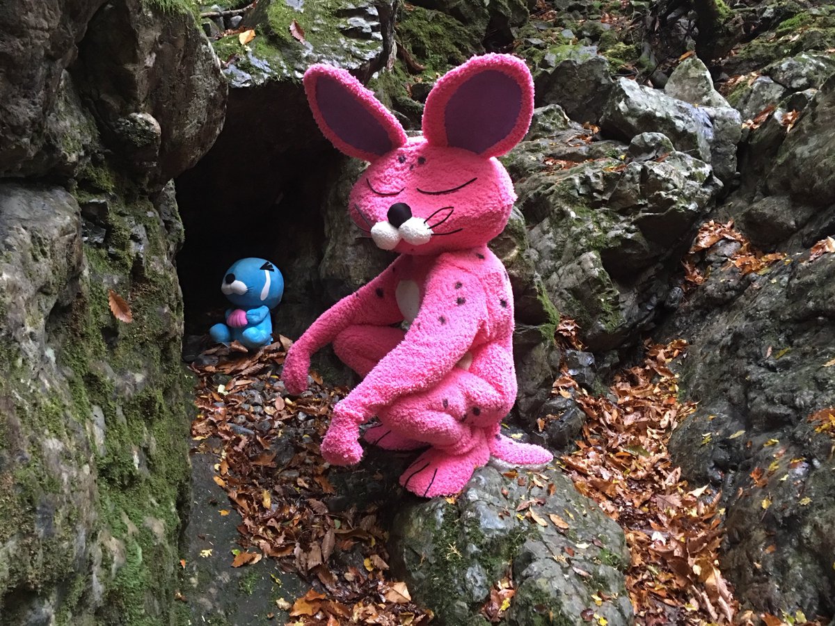 祠を壊した悪い子はしまっちゃおうね〜