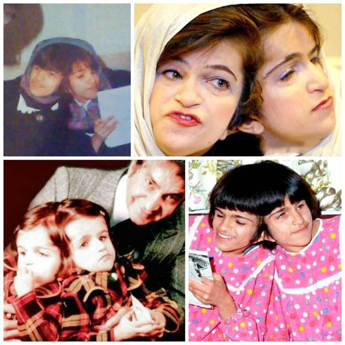 آچِلیوس tweet media