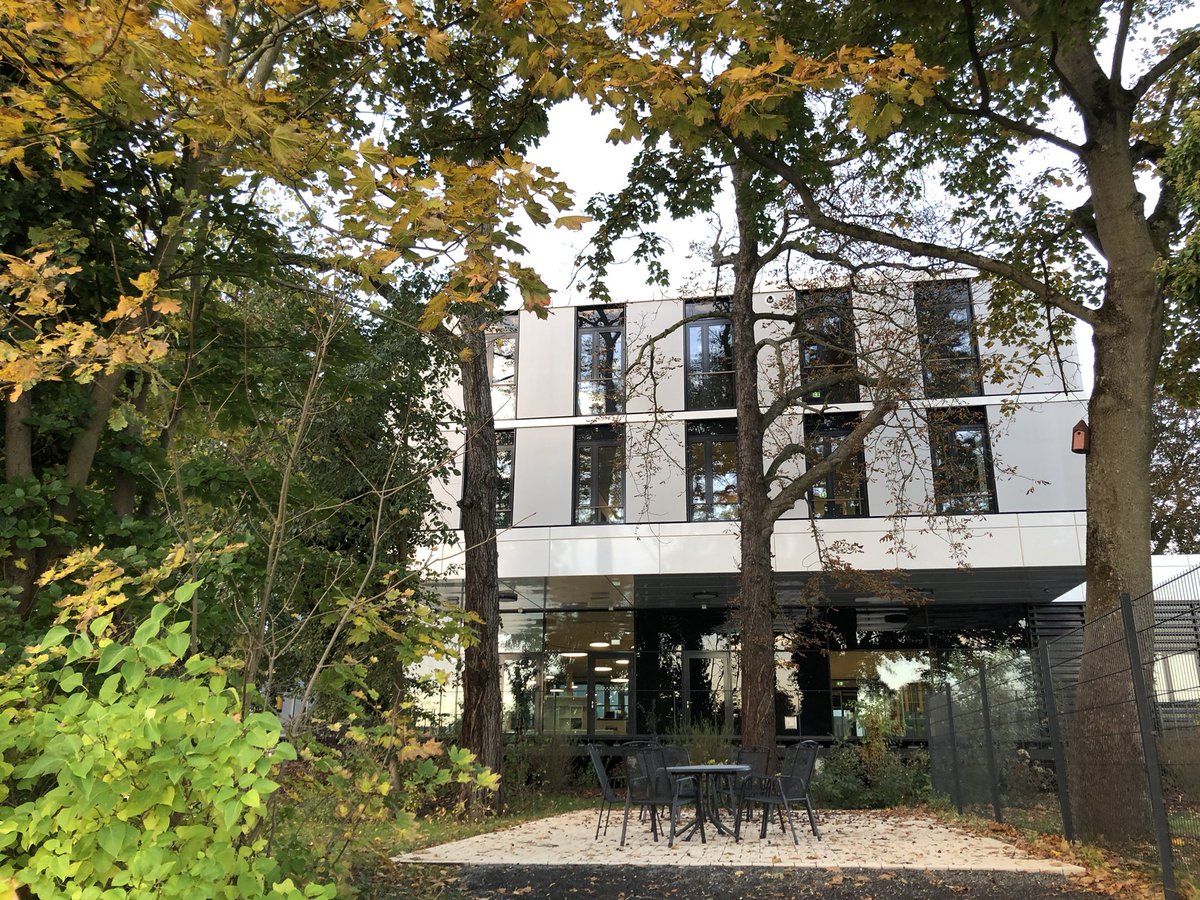 DESY (Deutsch) tweet media