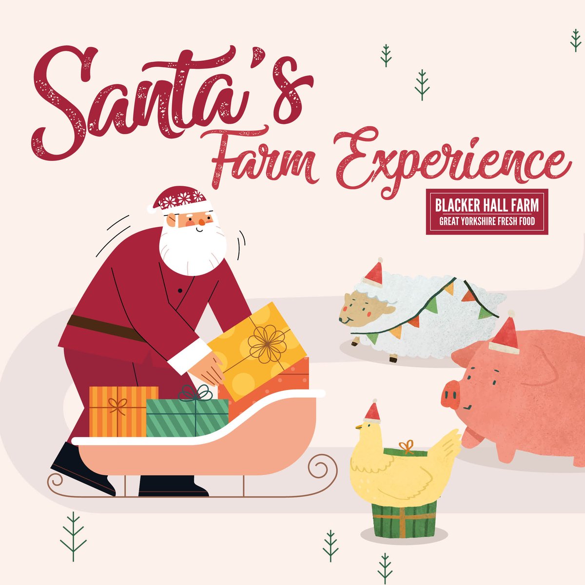 🎅 🎄 SANTA'S FARM EXPERIENCE AT BLACKER HALL FARM 🎅 🎄 Join us on the farm this Christmas and visit Santa and Mrs Claus in his farm grotto at our Little Farmers Trail. Limited tickets available book your space