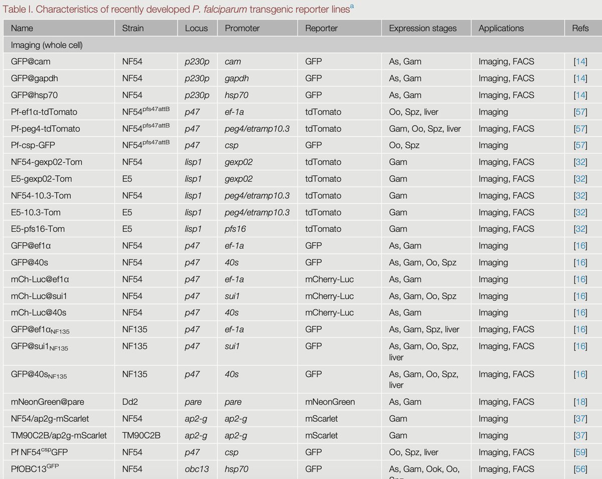 Joanne Power (@hanniepower) on Twitter photo LOVE this review in <a href="/TrendsParasitol/">Trends in Parasitology</a> by Miyazaki and Miyazaki! P falciparum reporter lines available. Look at this table. LOVE! #plasmodium #malaria cell.com/trends/parasit… LOVE this review in <a href="/TrendsParasitol/">Trends in Parasitology</a> by Miyazaki and Miyazaki! P falciparum reporter lines available. Look at this table. LOVE! #plasmodium #malaria cell.com/trends/parasit…