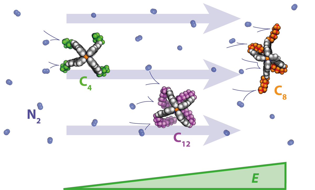 guido_clever's tweet photo. Ion mobility mass spec finds increasing use in supramolecular chemistry, but understanding the gas-phase behavior of flexible/chain-decorated assemblies is not trivial: Check #JustAccepted exp/theo. study @ChemicalScience @DFG_public @SolvationSci #SPP1807
https://t.co/8s3y89pMsR https://t.co/aC5qpv3ge1