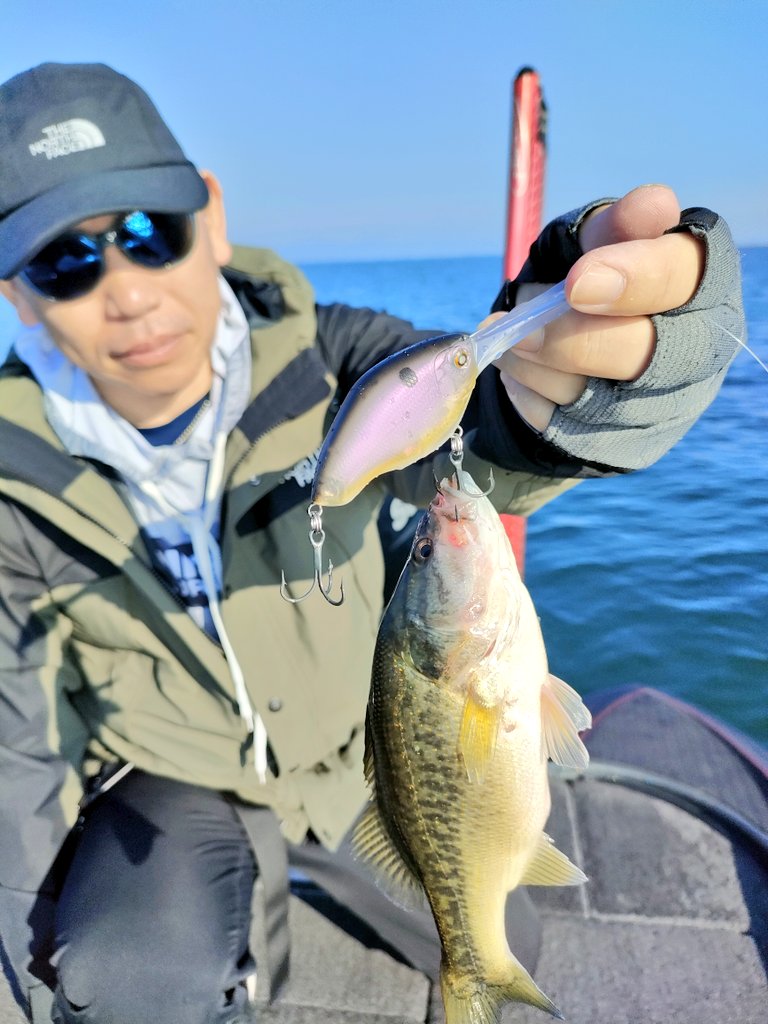 MasakazuMougi's tweet photo. 本日のガイドは、愛媛のiidaさん兄妹をお迎えして、秋のハードベイト道場!
特に良く釣れたのがチッパワシリーズを用いてのクランキングで、ベビーチッパワDDブレード、チッパワDDブレード、チッパワXDDを水深別に使い分けてバスをキャッチしていきました😊
お二人とも初のチッパワフィッシュゲット👍 https://t.co/blzDSQG4l6