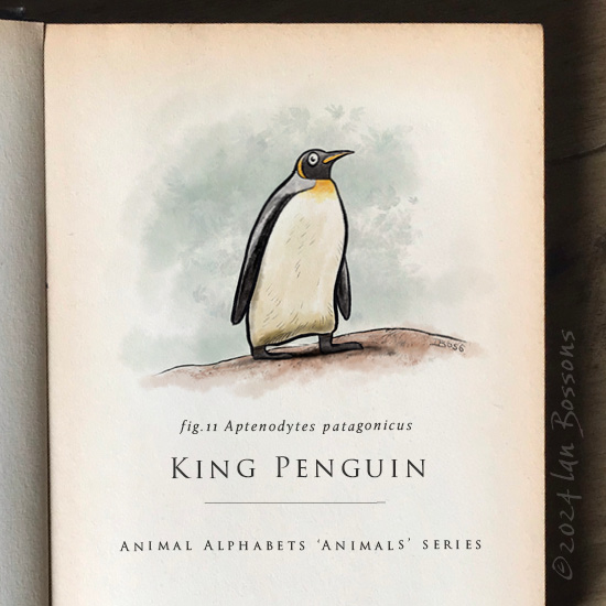 Ian Bossons (@ian_bossons) on Twitter photo A King penguin for this week’s #AnimalAlphabets animals themed art challenge.
<a href="/AnimalAlphabets/">Animal Alphabets</a> #KingPenguin #illustration #animal #cartoon #illustrator #artchallenge #weeklyartchallenge A King penguin for this week’s #AnimalAlphabets animals themed art challenge.
<a href="/AnimalAlphabets/">Animal Alphabets</a> #KingPenguin #illustration #animal #cartoon #illustrator #artchallenge #weeklyartchallenge