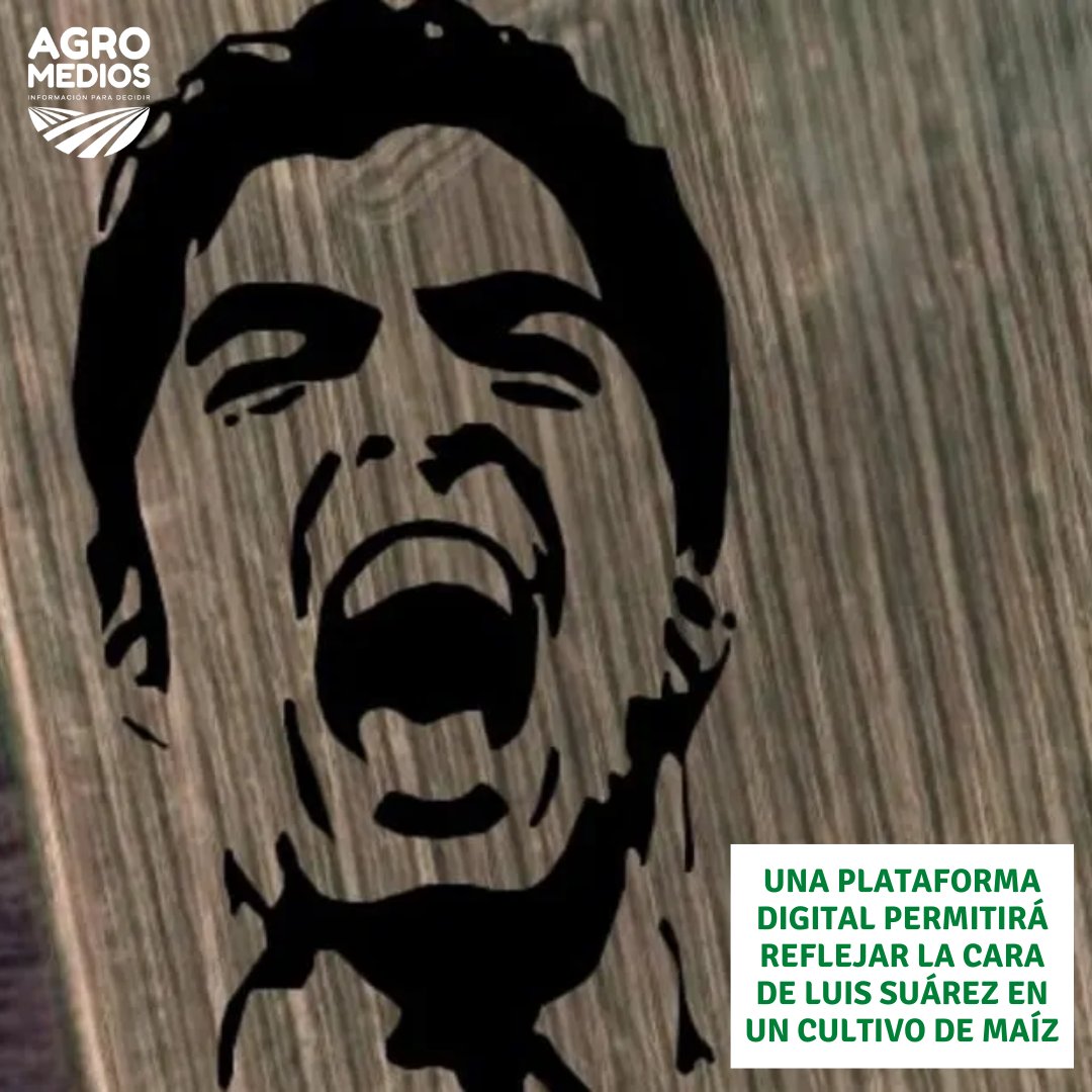 Un productor de Flores decidió homenajear a <a href="/LuisSuarez9/">Luis Suárez</a> tras su despedida de la selección.
El ing. Eduardo Félix realizó la siembra del cereal con la imagen del goleador  y reflejaron una de sus fotos en una plataforma de agricultura digital.
(En base a Clarín Rural)