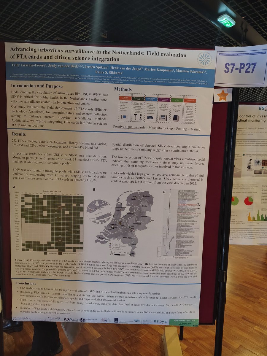Reina Sikkema (@reinasikkema) on Twitter photo Come see our posters! #esove #esove2024 <a href="/TijmenHartung/">Tijmen Hartung</a> <a href="/LizarazoErley/">Erley Lizarazo</a> on our citizens science
driven fta cards arboviruses monitoring system #sinv #usuv #wnv and the effect of new wetlands on bird reservoir hosts Come see our posters! #esove #esove2024 <a href="/TijmenHartung/">Tijmen Hartung</a> <a href="/LizarazoErley/">Erley Lizarazo</a> on our citizens science
driven fta cards arboviruses monitoring system #sinv #usuv #wnv and the effect of new wetlands on bird reservoir hosts