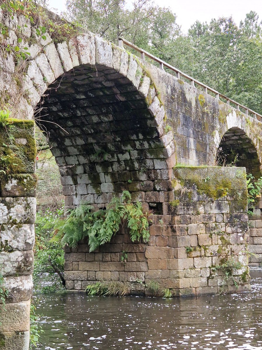 Ponte Freixo, sobre o #ríoArnoia entre Cartelle e Celanova (#Ourense, #Galicia). Construción de mediados do século II d.C. coincidindo co final da ocupación do forte romana de #AquisQuerquennis (#Bande #Ourense) #Romanbrigde <a href="/Aquis3D/">Aquis 3D</a> <a href="/imorenogallo/">Isaac Moreno Gallo</a>