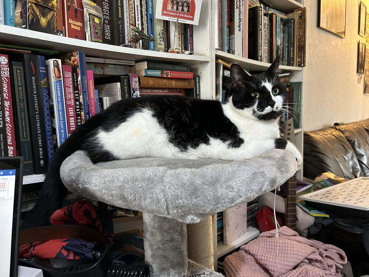 Ray Bloody Purchase appreciation post