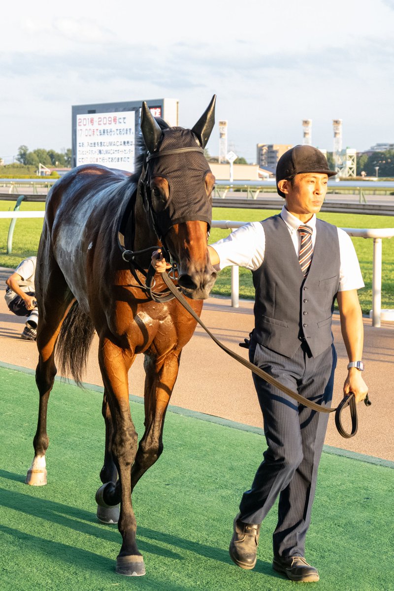 SILKHCofficial's tweet photo. 【今日の1枚】@東京競馬場

府中の西陽を浴びて、3日間開催最後のレースで勝利を挙げた #ニュージーズ 

前走は距離延長で実力を発揮できませんでしたが、得意の舞台に戻って輝いてくれました✨
今後も更なる活躍を期待したいですね🥺

皆様おめでとうございました㊗️

#silkhc
#東京競馬場 https://t.co/mAclfeSpYq