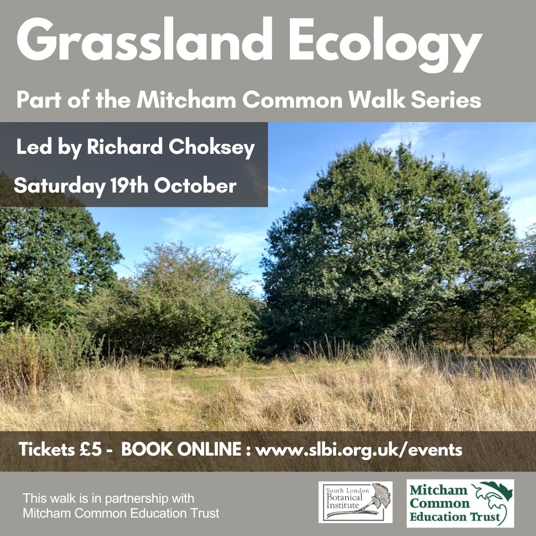 🌿 Join us on Oct 19th for a Grassland Ecology Walk at Mitcham Common! 🌾 Learn about plant communities &amp; preserving rare grasslands with SLBI’s Richard Choksey.

🕒 11am-12:30pm
📍 Meet: Mitcham Junction Station

#NatureWalks #SLBI