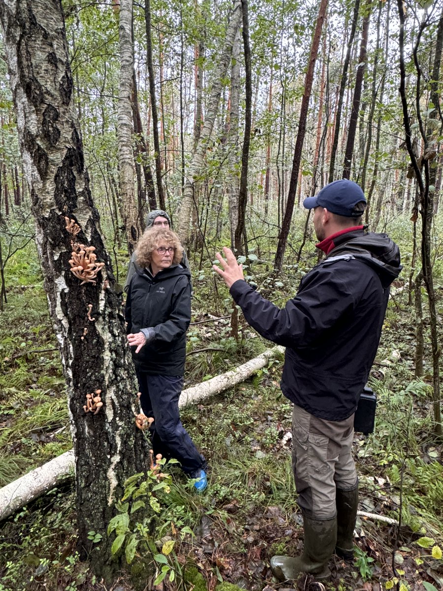 MIRECLIM project tweet media