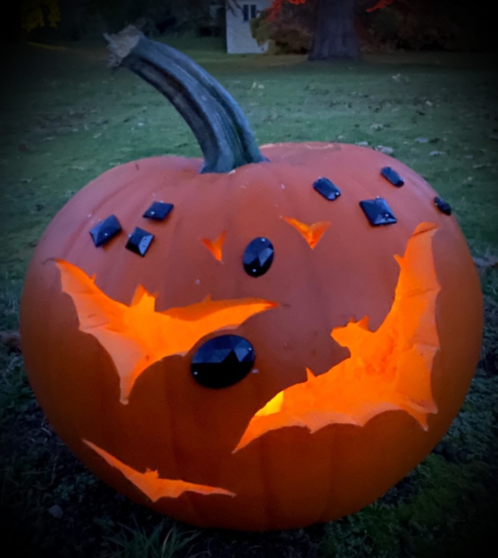 🎃Halloween Fun on Oct 31 &amp; Nov 2🎃
The house &amp; gardens will be lit up at dusk.
This is a family-friendly event 👻 fancy dress, pumpkin trail &amp; craft tent. Hot food will be available from our Shepherd's Hut. 🐕🐕welcome
stokesaycourt.com/whats-on
#Shropshire #Ludlow #Halloween2024