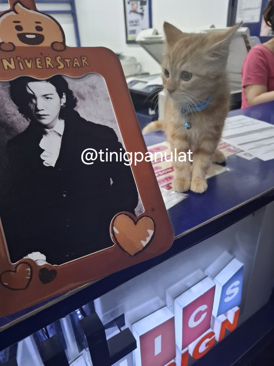 Two cats in one picture. ILY. 💛💜