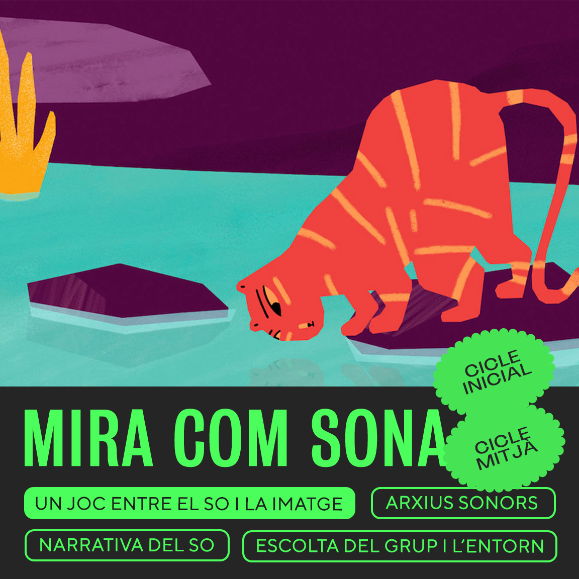 Drac Màgic tweet media