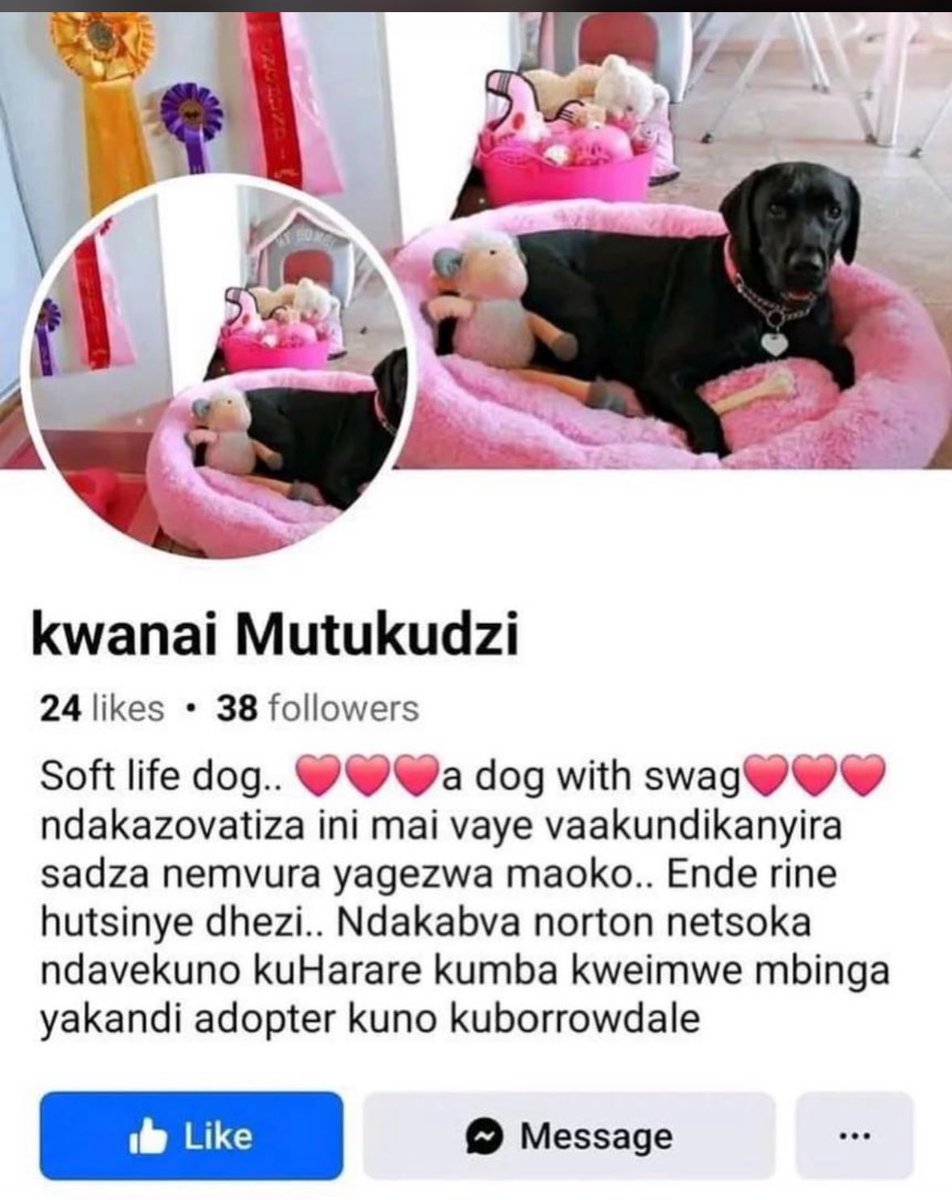 😂😂