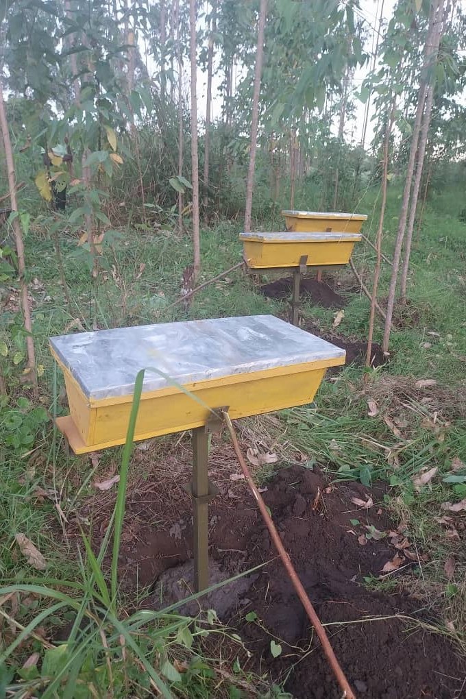 LorenzoJonath12's tweet photo. Over the weekend, we had the pleasure of helping people establish their bee keeping projects, from setting up the hives to guiding them through.
You can as well start today.
#DevelopWithNature https://t.co/GGssJhpHq1