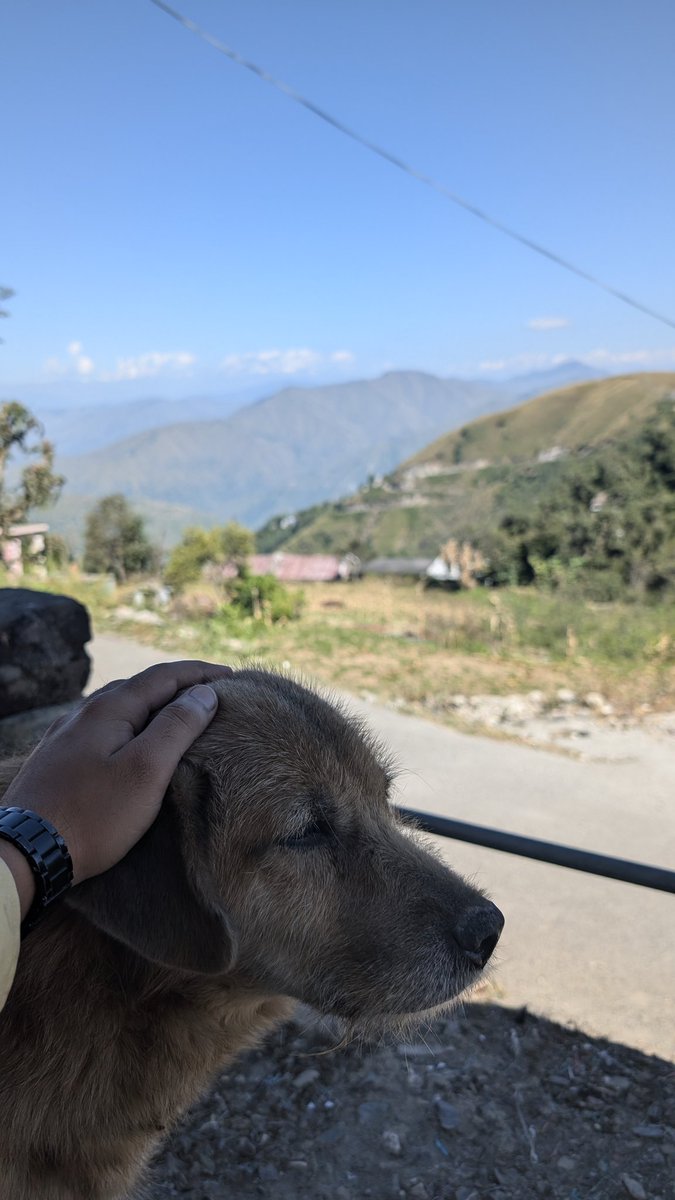 Devtomar890's tweet image. Everyday morning view that I want 🌄
#AdventureDogs
#DogsofX
#MountainVibes
#NatureLovers
