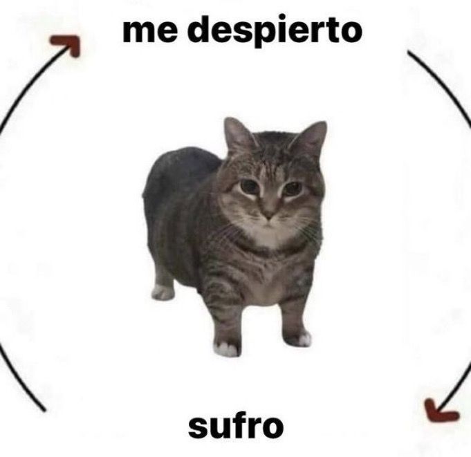 Mi rutina diaria