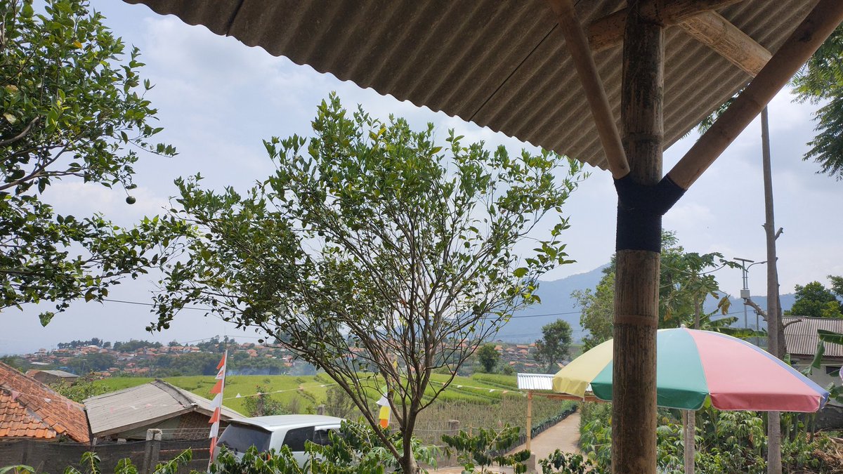 Okonotorono (@okonotorono) on Twitter photo 