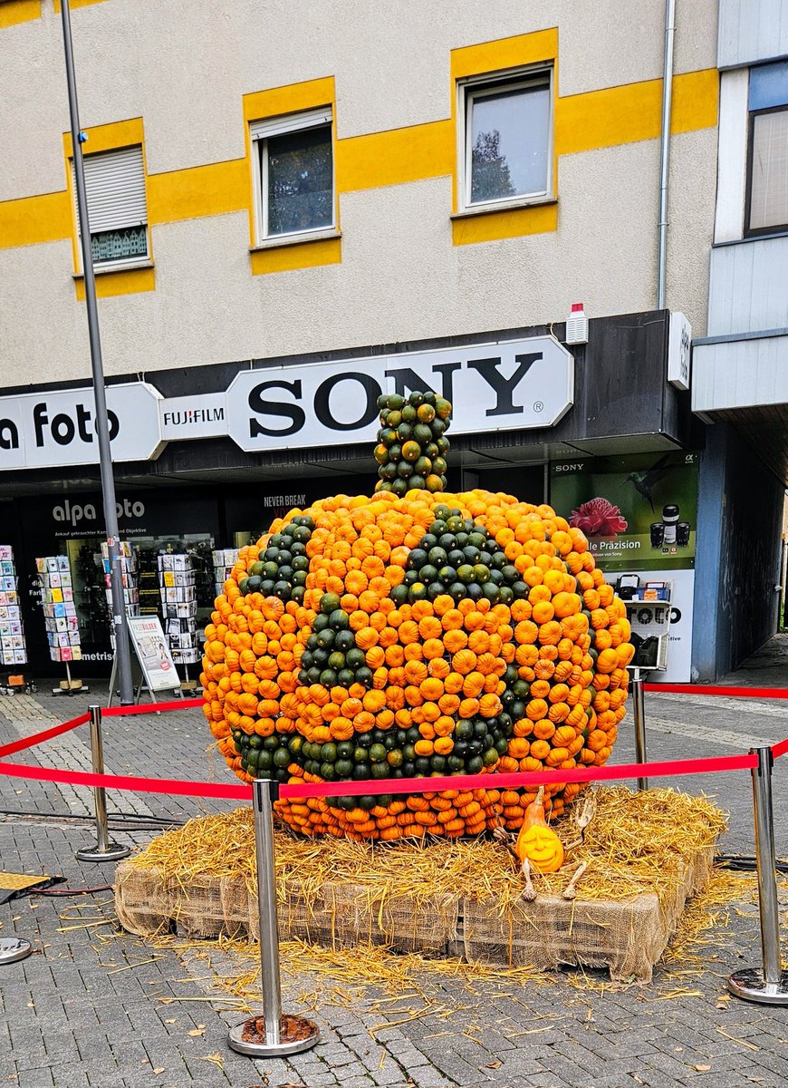 UMZiegeroski's tweet photo. Photos from the Market Days 2024 here๐ถโโ๏ธ๐๐๐๐๐ชด๐บ๐๐๐๐๐ฅ๐ฝ๐ง
๐โ๐ซ๐ฅ๐๐๐ญ๐ฏ๐ฅ๐ท๐ป๐ง๐๐ #Neuwied #Markttage #marketdays #Herbst #fall #autumn #harvest #art #food #wine #books #charity https://t.co/vsbB33f2OX